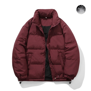 白鸭绒潮流光板抽绳立领羽绒服保暖外套Y5848-P140【特价】图片