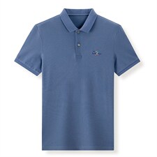 翻领短袖T恤男士上衣22夏季新款百搭大众休闲服潮流纯色体恤男装，男装T恤，电商B212（原钱塘6029）