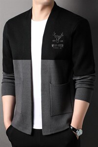 CA800108钱塘2020-2中青年男士时尚休闲简约潮流针织衫毛衣P55图片