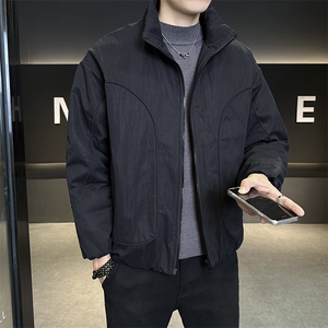 新标90   2025新款潮流保暖宽松立领白鸭绒羽绒服5875-P255图片
