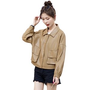 春装新品简约翻领设计传出女人韵味图片