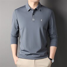 2023年新款春秋季商务休闲中年男士长袖t恤翻领刺绣polo衫男装，男装T恤，电商B212（原钱塘6029）
