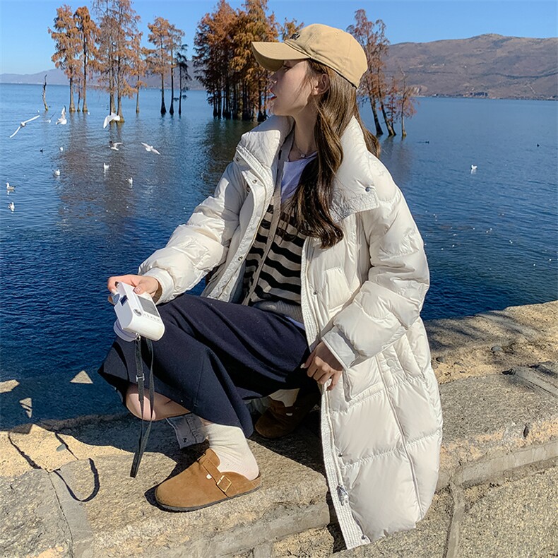 立领羽绒服女中长款2022年冬季新款经典时尚气质百搭连帽保暖外套,女装羽绒服,辉之琳