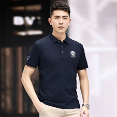 2024夏季新款短袖T恤中青年男士潮流时尚休闲透气Polo衫男上衣，男装T恤，电商B212（原钱塘6029）