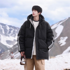 Y0301-P220 冬季新款85%白鸭绒连帽羽绒服外套图片