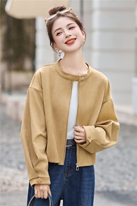 休闲短外套女小个子秋季2025新款高级感早秋时尚减龄百搭上衣图片