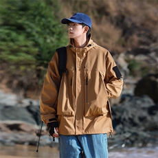 浅咖色