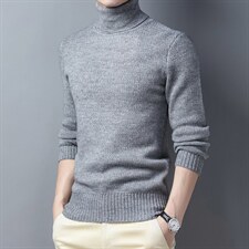 Z3081男士2023年秋冬新款长袖高领针织衫休闲打底衫P图片