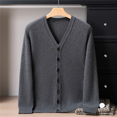 2025年秋季青春流行加厚基础开衫V领，男装针织衫/毛衣，戎禾素