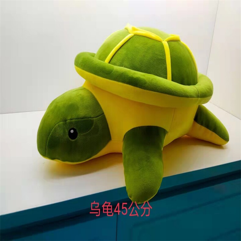 海龟（十个起售），趣多多