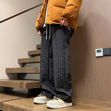 02秋冬季竖条纹夹棉加厚棉裤潮阔腿裤XZ211-1-K2377-P65，男装棉裤，星座211-1