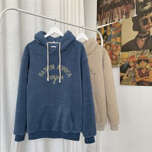 703-W199-P58秋冬港风加绒羊羔毛卫衣 绣花套头帽衫图片