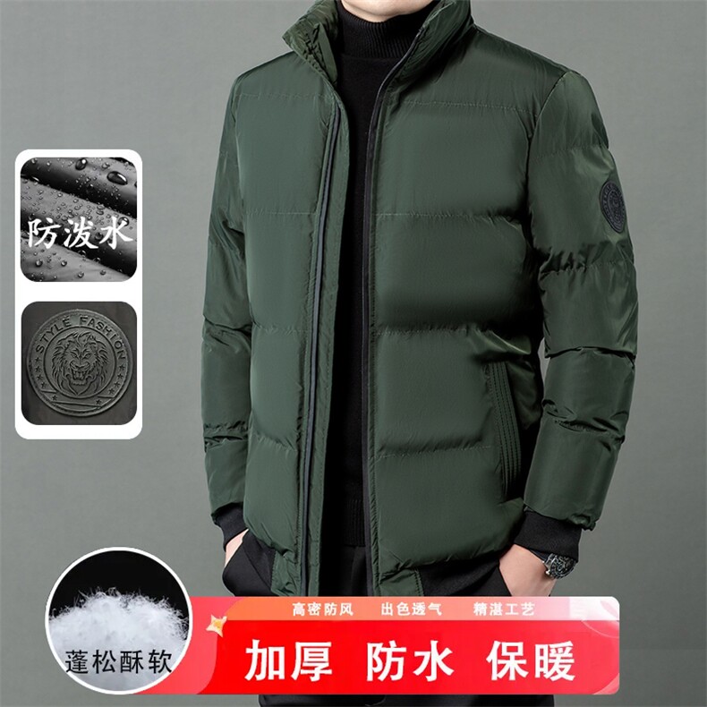 秋冬季棉服男士立领保暖潮服休闲防寒虎头外套户外大码短款男装,男装棉衣,钱塘6003（原4033）