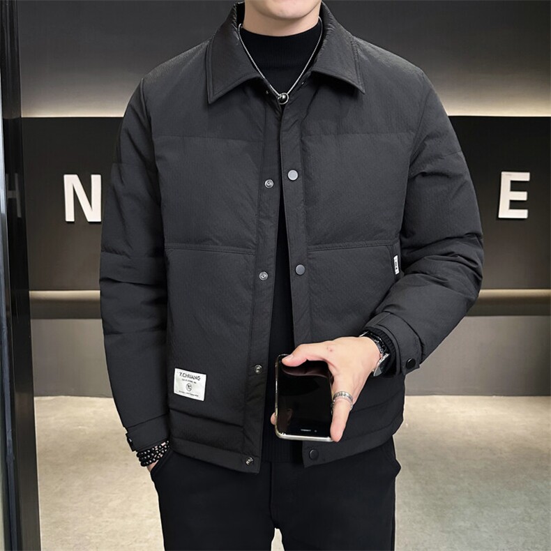 店主风商务休闲翻领轻薄白鸭绒特殊面料羽绒服男，男装羽绒服，电商B255