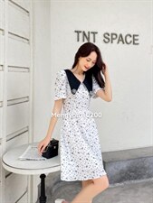 系列款，其它，梦由