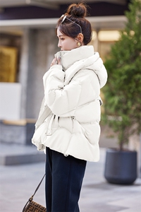 短款羽绒服女2023冬新款小个子高级感炸街欧货学生小众连帽面包服图片