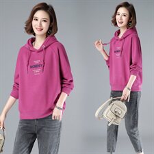 时尚宽松连帽刺绣卫衣女新款韩版百搭显瘦长袖上衣外套秋冬季加绒加厚学生潮，女装卫衣/绒衫，简韵佳