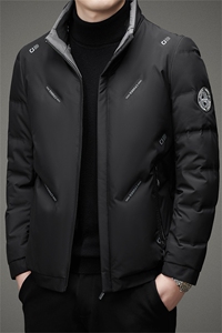 BH28880钱塘2020-2中年男士冬季厚款商务休闲保暖简约羽绒服P245图片