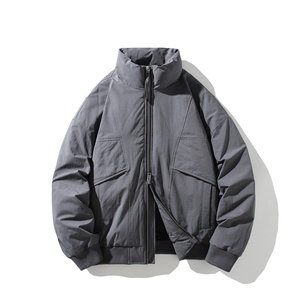 2025新标90白鸭绒冬季男立领高品质羽绒服保暖外套304-P240