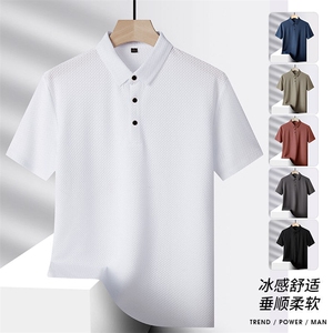 夏季新款无痕短袖Polo衫冰丝锦氨T恤HS1168-P38图片