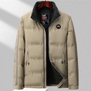 BZC2392钱塘2020-2时尚休闲简约冬季厚款中年男士羽绒服P190图片