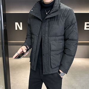 2025新款皮羽绒服男士立领痞帅短款防寒服外套B240-YR69010-P215图片