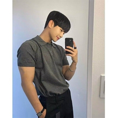 短袖t恤男polo衫夏季翻领半袖纯色体恤高端复古针织上衣B237，男装T恤，星座1116A（原606A-3）