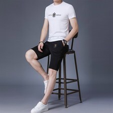 男士夏季薄款休闲短裤套装冰丝短袖t恤男2023年新款夏装两件套，男装休闲套装，电商B212（原钱塘6029）