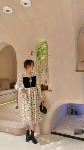 秋装新款连衣裙m-4xL，女装连衣裙，董与陈