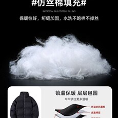 秋冬加厚夹棉棉服外套港风寒冬季保暖抗寒立领棉衣棉袄TTM17P65，男装棉衣，星座1013-5