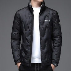 2023冬季新款中青年男棉袄立领薄款棉衣中年男棉服DFLDY2018-P170，男装羽绒服，电商B212（原钱塘6029）