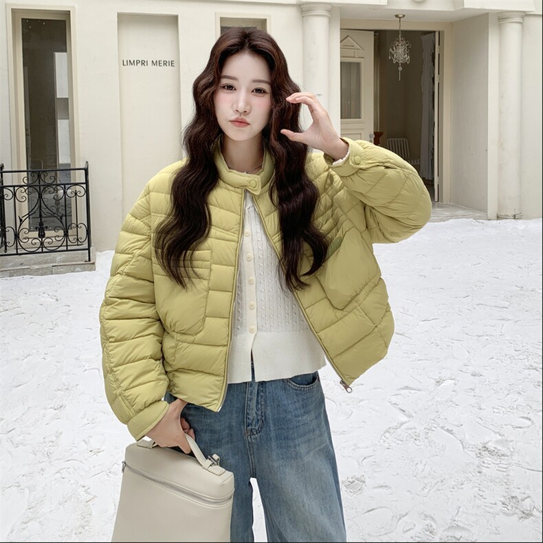 极简风休闲轻羽绒服女2025冬季新款韩系立领保暖白鸭绒百搭厚外套,女装羽绒服,玖莱伊