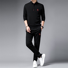 SA9667-2钱塘2020-2中年男士冬季厚款时尚休闲新款套装P152，男装休闲套装，钱塘207-2