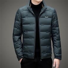 BAMJ-8980钱塘2020-2中年男士冬季厚款商务休闲翻领羽绒服P195，男装羽绒服，钱塘207-2