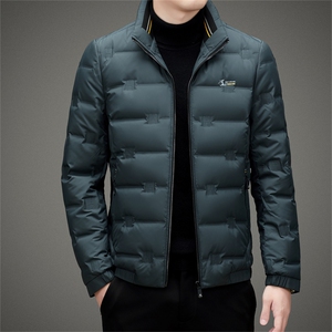 BAMJ-8980钱塘2020-2中年男士冬季厚款商务休闲翻领羽绒服P195图片
