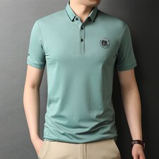 短袖t恤男2023夏季中青年男士休闲百搭POLO打底衫翻领男装上衣，男装T恤，电商B212（原钱塘6029）