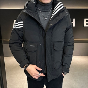 新标50绒冬季新款高级感连帽白鸭绒羽绒服时尚外套YR8091-P220图片