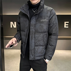 B3538663P185白色雪山印花2024年冬季男羽绒服男控卷后258，男装羽绒服，电商B353