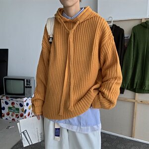20秋冬港风连帽针织衫毛线衣中性情侣纯色宽松外套潮 W01/P70图片