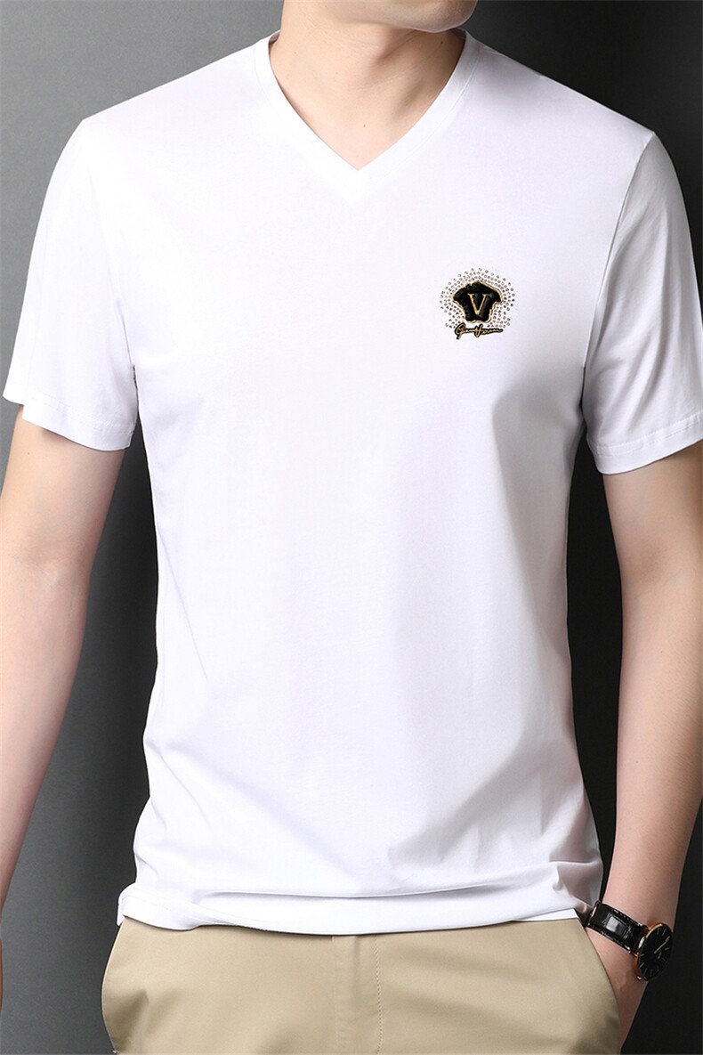 男士短袖2023新款夏季男装夏装薄款上衣服半袖中年体恤衫夏天潮流,男装T恤,电商B212（原钱塘6029）