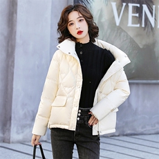 2025冬季新款时尚立领保暖舒适气质显瘦90白鸭绒羽绒服，女装羽绒服，心心服饰