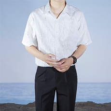 英伦雅痞男装肌理感衬衫短袖衬衣男薄款发型师夏季穿搭CK09，男装T恤，星座1116A-2（原606A-1）
