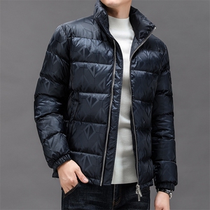 2024年新款男士羽绒服P295图片