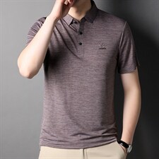品牌高端轻奢冰丝短袖体恤男中青年装POLO翻领衫男士宽松弹，男装T恤，电商B212（原钱塘6029）