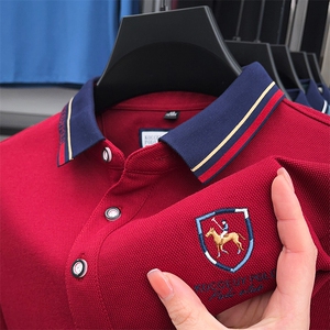 2023秋季新款简约翻领Polo衫男士爸爸装休闲时尚百搭潮牌长袖T恤图片