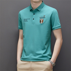 男装polo衫短袖翻领2023夏季新款短袖保罗衫商务休闲中年男士上衣，男装Polo衫，电商B212（原钱塘6029）