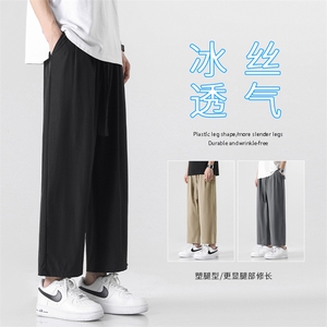 夏季薄款显高时尚百搭休闲裤冰丝轻薄透气长裤 6013特批31图片