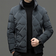 QX230钱塘2020-2中年男士冬季厚款商务休闲立领新款羽绒服P170，男装羽绒服，钱塘207-2