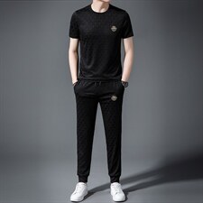 2022男装夏季冰丝短袖套装薄款翻领速干时尚潮流两件套，男装休闲套装，电商B212（原钱塘6029）