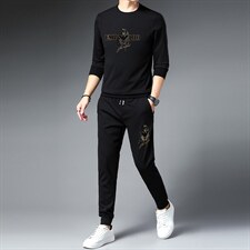 2023新款春秋季休闲运动套装男士圆领长袖t恤印花上衣中青年男装，男装休闲套装，电商B212（原钱塘6029）
